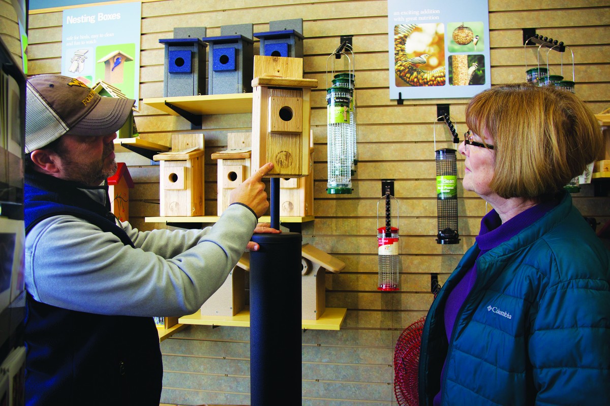 Learn about eastern bluebirds in March at botanic garden